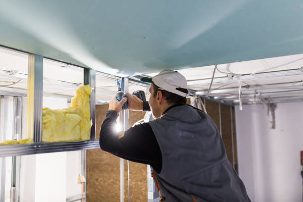 Best DIY Insulation Kits and Guidance in Bridgetown, MS