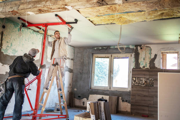 Best Geographic-Specific Insulation Services in Bridgetown, MS