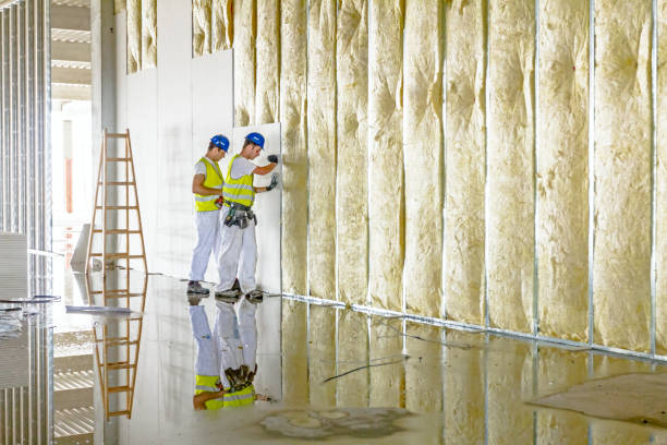 Best Cellulose Insulation in Bridgetown, MS